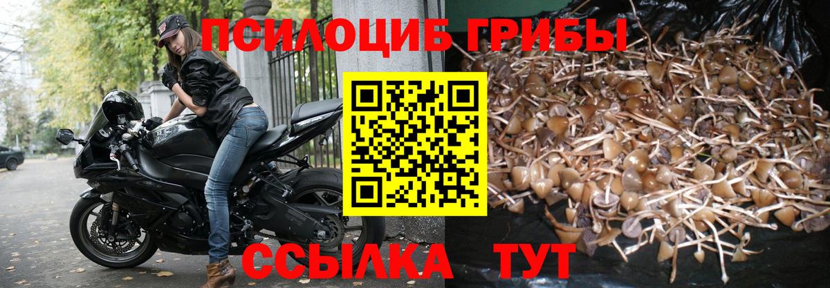 Усть-Илимск  Псилоцибиновые грибы GOLDEN TEACHER  Вход с VPN 